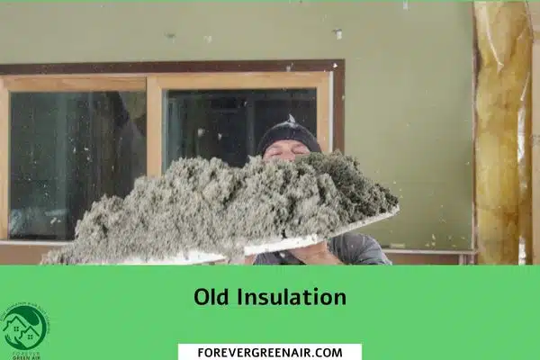 Old Insulation