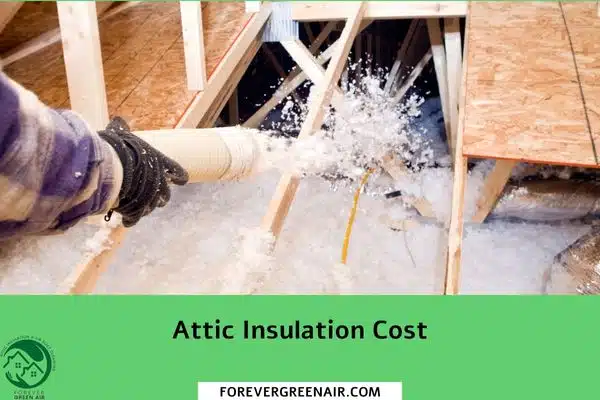 Attic Insulation Cost