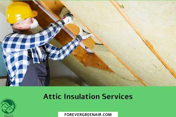 Attic Insulation Services