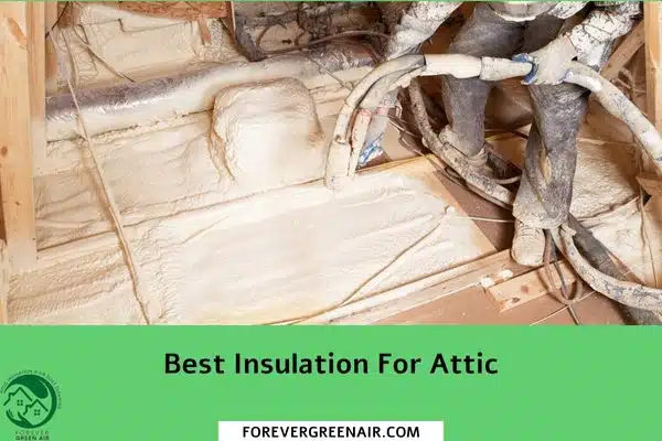 Best Insulation For Attic